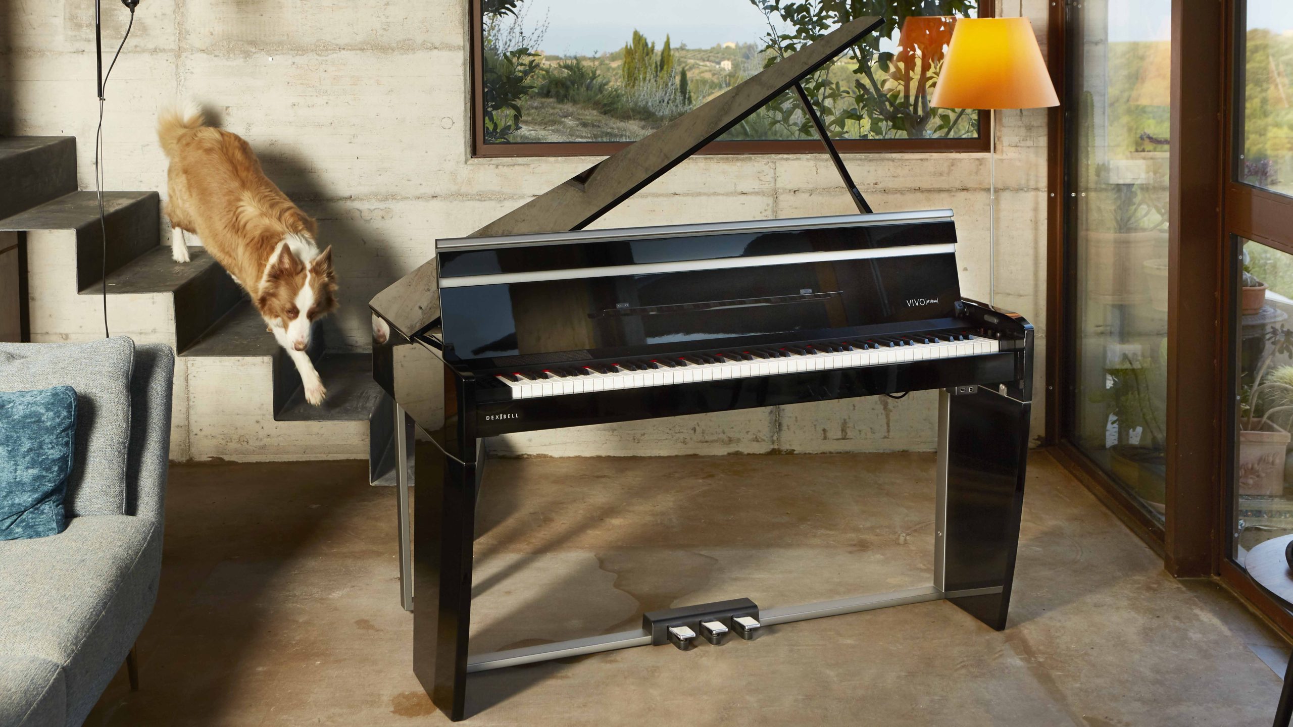 INCREDIBILE DINAMICA