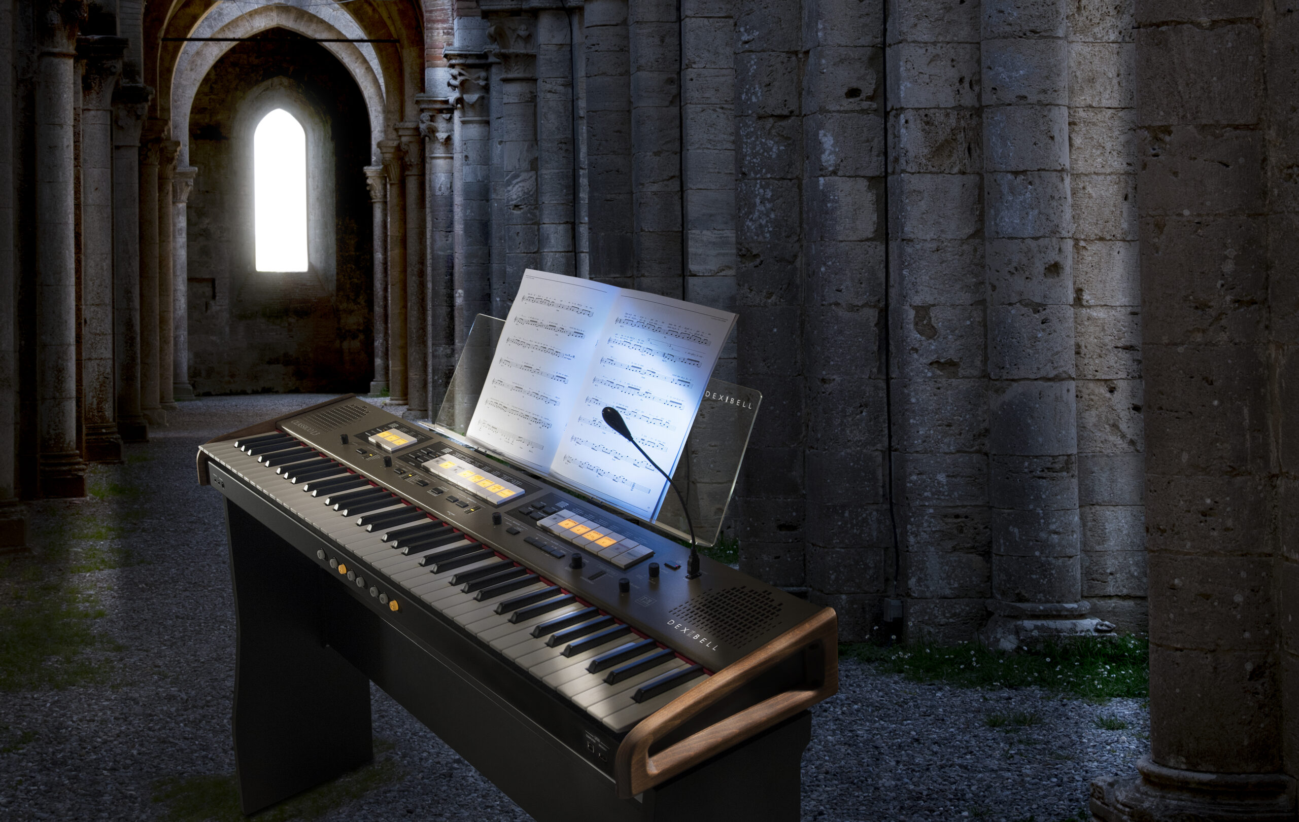 ORGAN