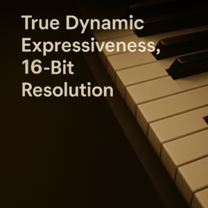 Pag05True-Dynamic-16-300x300