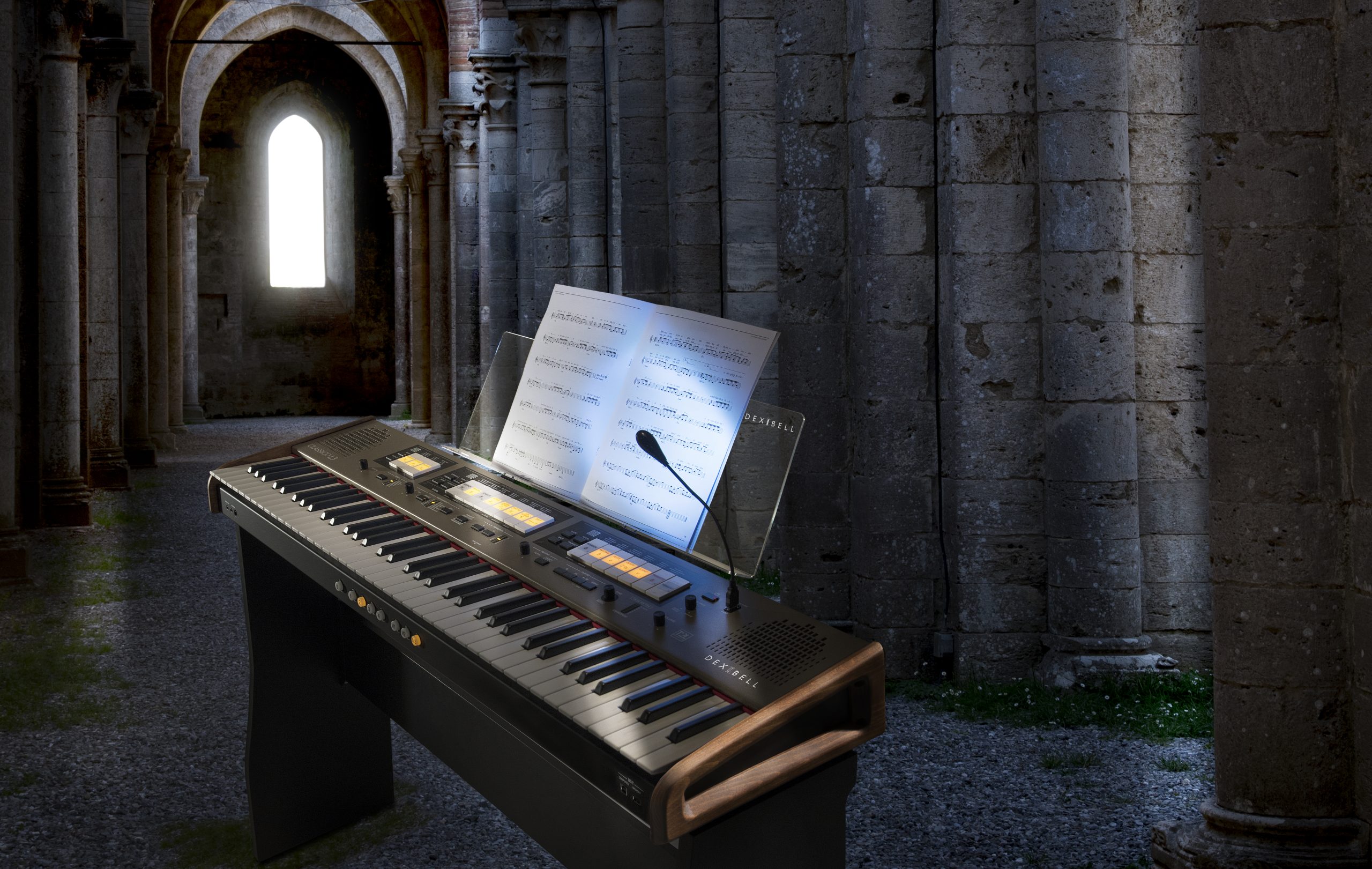 ORGAN